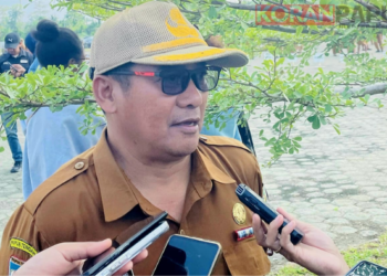 Pemkab Mimika Siapkan 7.000 Hektare Lahan untuk Pengembangan Pertanian