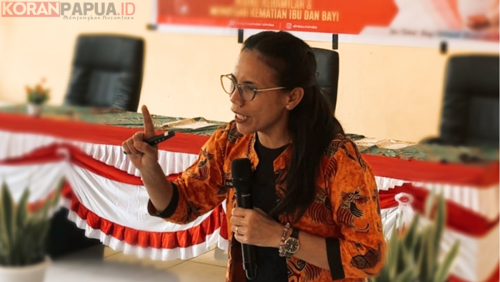 188 Ibu Hamil di Distrik Iwaka, Baru 35 Periksa Sesuai Standar