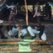 Razia Besar di Kwamki Narama, Polisi Sita 423 Anak Panah dan Bongkar 4 Tenda Perang