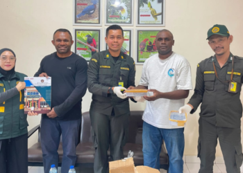Tiga Ular Death Adder Hendak Dikirim ke Semarang, Digagalkan di Timika