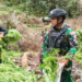 Aparat Bongkar Dua Ladang Ganja di Pegunungan Bintang, 1.347 Batang Diamankan