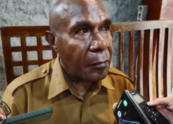 Dinkes Mimika Imbau Warga Lindungi Diri dari Paparan Asap, Ingatkan Risiko Gangguan Kesehatan