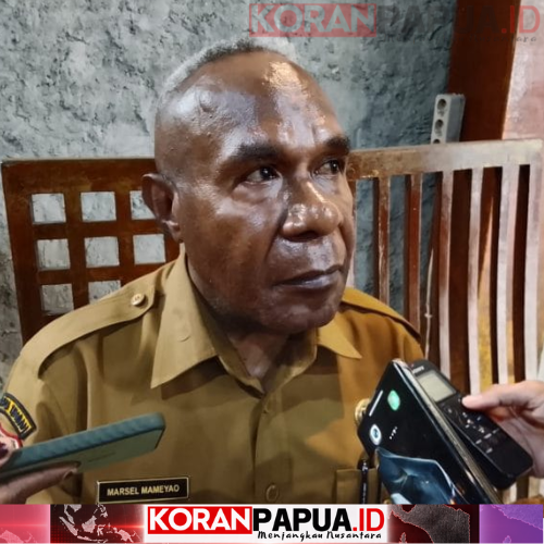 Dinkes Mimika Imbau Warga Lindungi Diri dari Paparan Asap, Ingatkan Risiko Gangguan Kesehatan