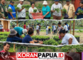 Rumah Sayur GPDP Jemaat Semua Umat Dorong Kemandirian Ekonomi di Mimika