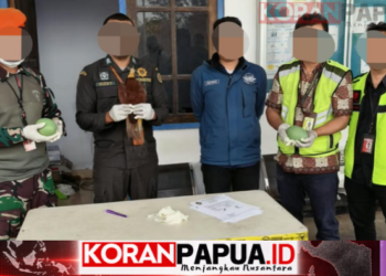 Pasgat Gagalkan Pengiriman Cenderawasih Awetan dan Dua Telur Kasuari di Merauke