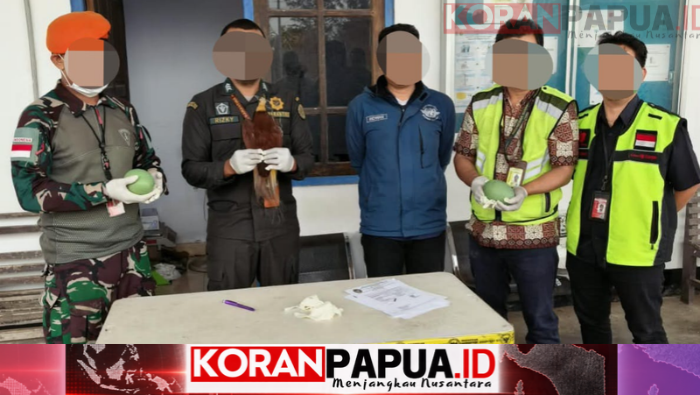 Pasgat Gagalkan Pengiriman Cenderawasih Awetan dan Dua Telur Kasuari di Merauke