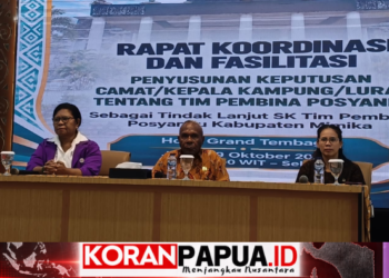 Dinkes Mimika Perkuat Posyandu Lewat Kerja Sama Lintas Sektor