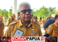 Kabut Asap Mimika Memburuk, Sekolah dari Rumah Mulai 12 Oktober