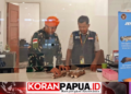 Tujuh Tanduk Rusa Tanpa Dokumen Terjaring Pemeriksaan di Bandara Mopah Merauke